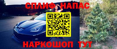 винт Канаш