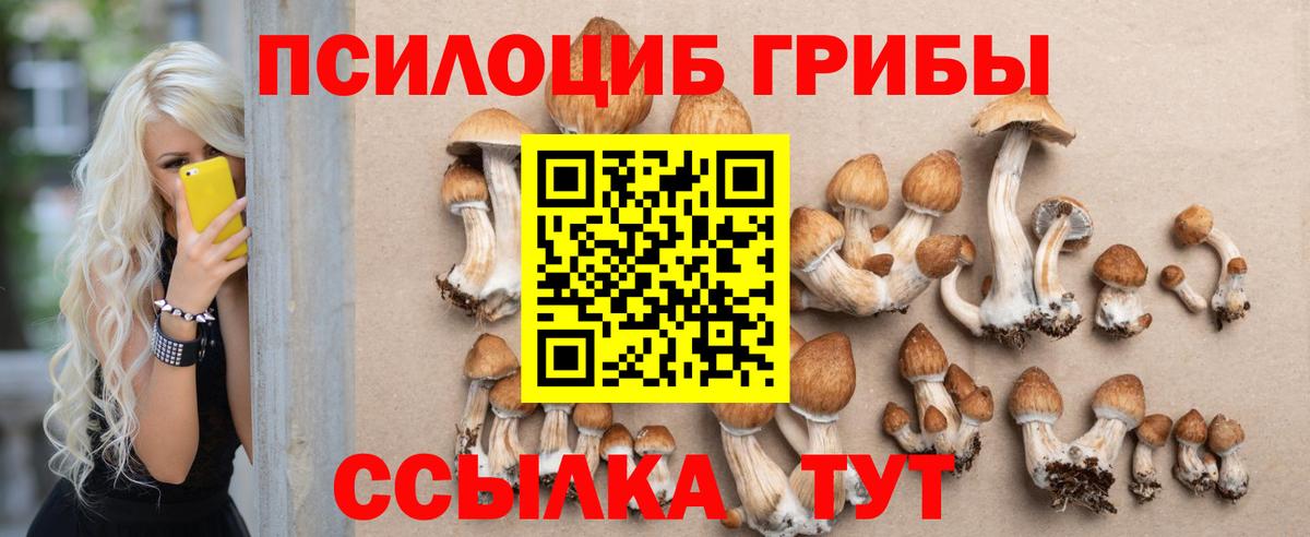 Псилоцибиновые грибы GOLDEN TEACHER  Псилоцибиновые грибы прущие грибы  Невинномысск  Вход с VPN 